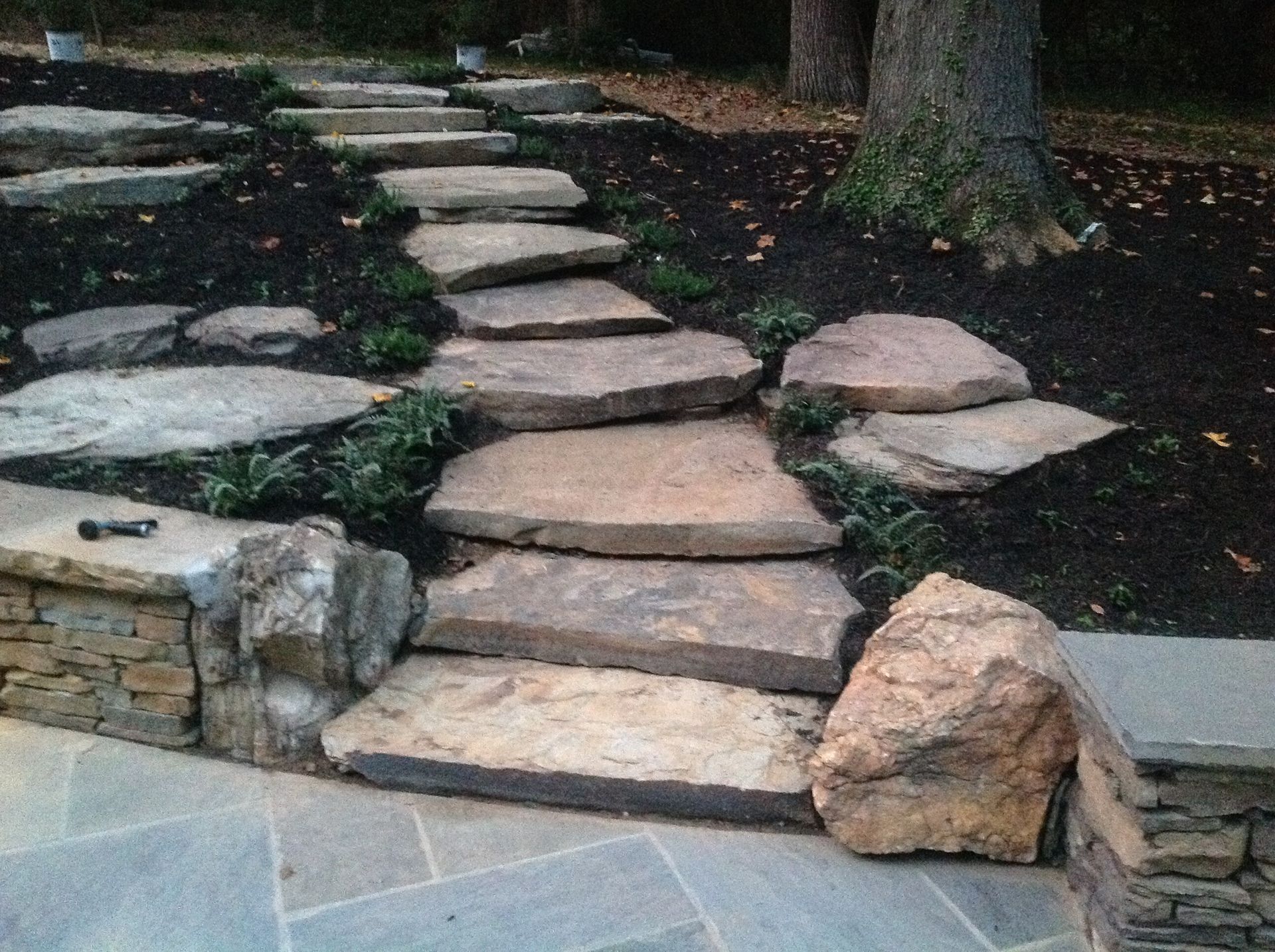 A stone walkway is surrounded by rocks and plants