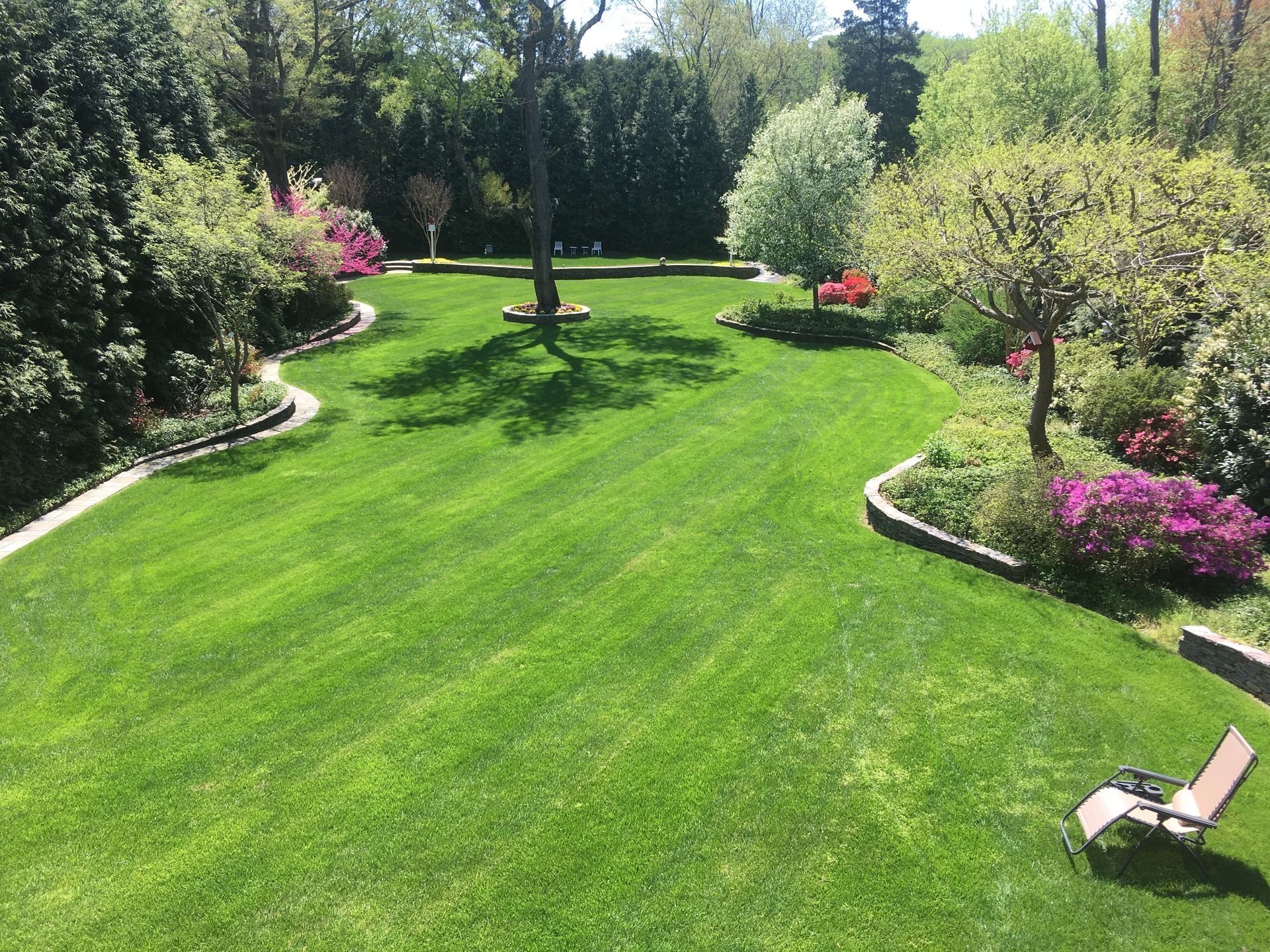 A large lush green lawn surrounded by trees and bushes.