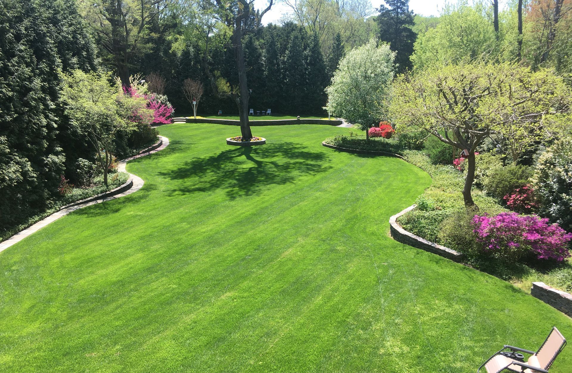 A large lush green lawn surrounded by trees and bushes.