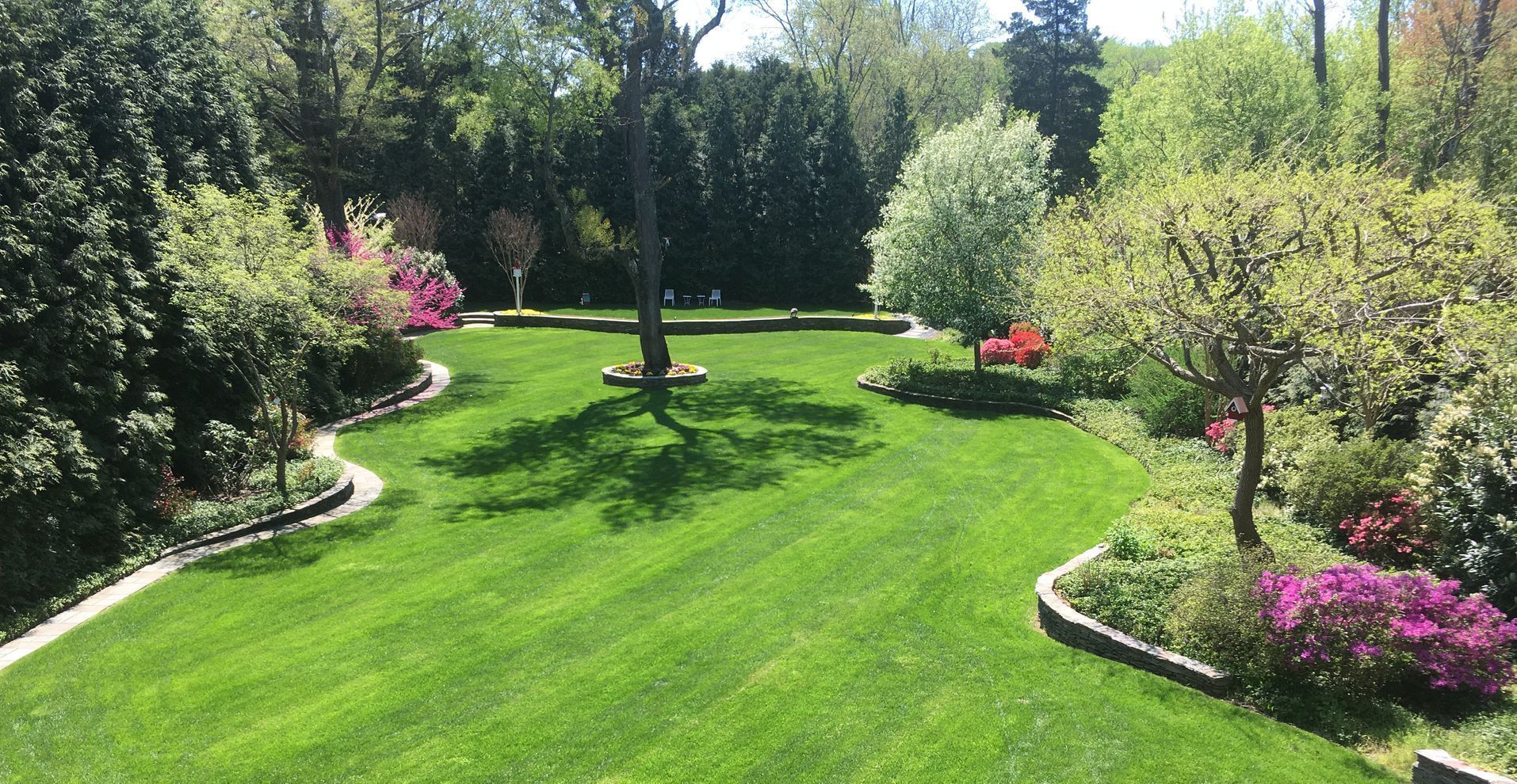 A lush green lawn surrounded by trees and bushes on a sunny day.