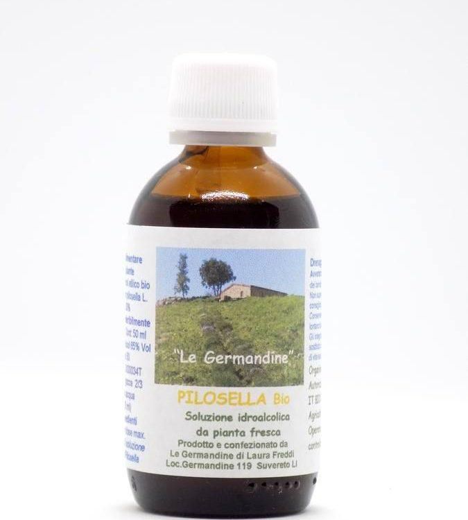 Pilosella Bio