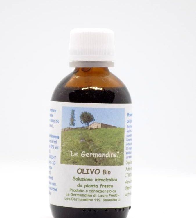 Olivo Bio