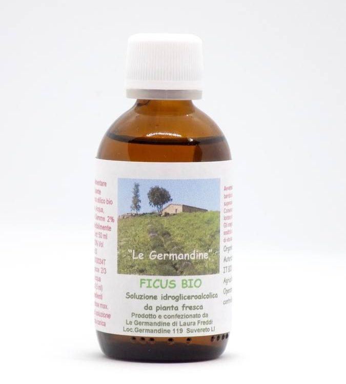 Ficus Bio