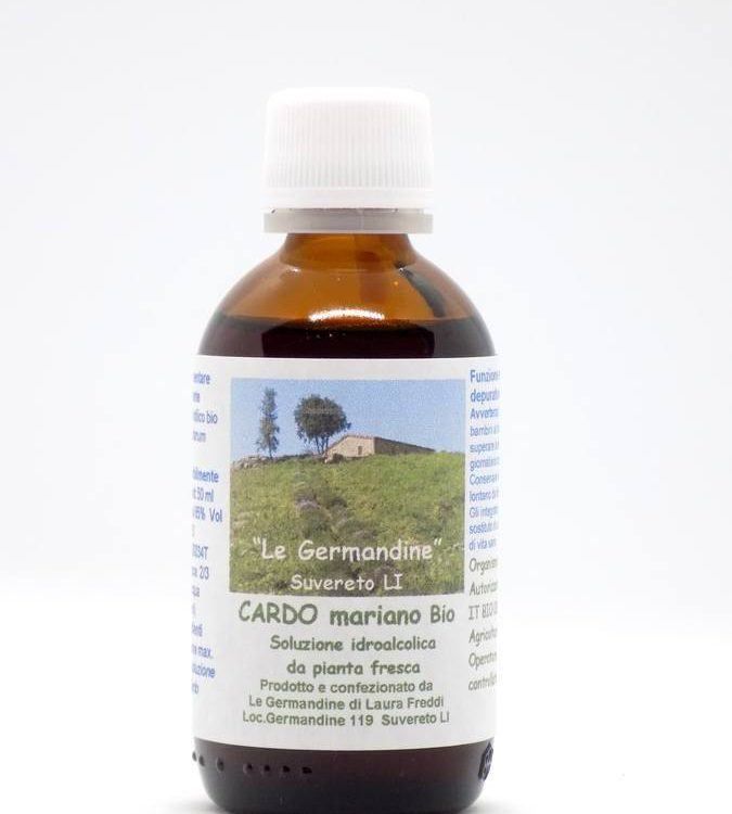 Cardo mariano Bio