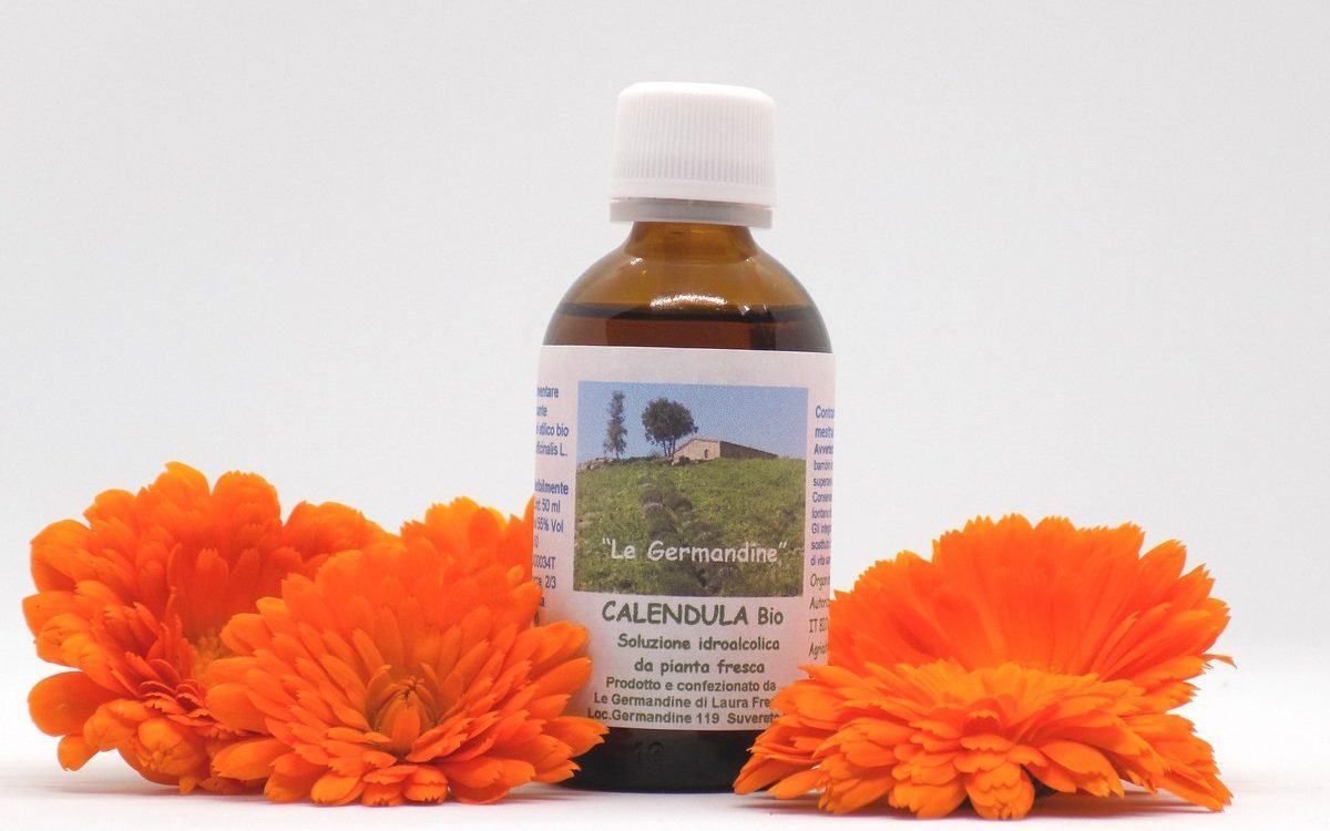 Calendula Bio