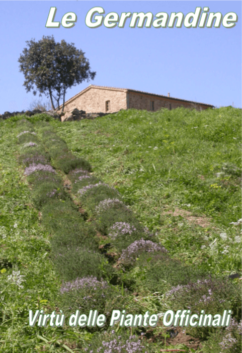 Opuscolo virtù delle piante officinali