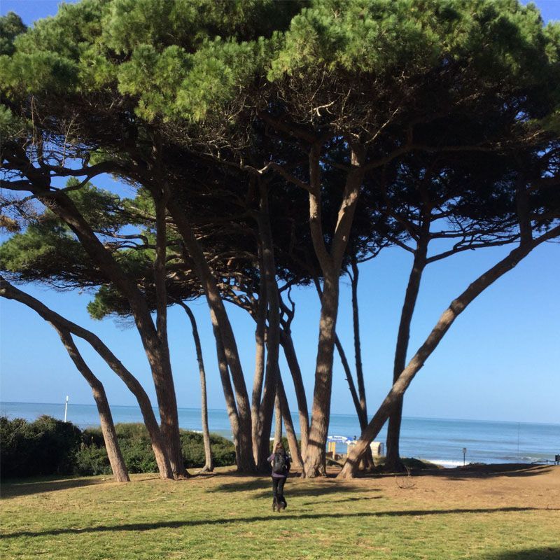 Profumo di Mare: Populonia, baratti, La Sterpaia, Parco di Rimigliano a San Vincenzo- Raggiungibili dalle Germandine