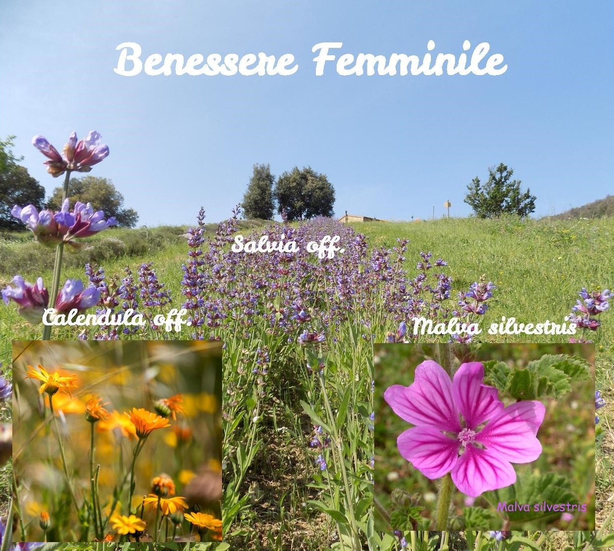 Le bien-être des femmes