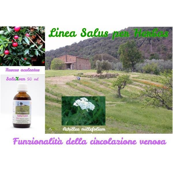 Linea erba Salus