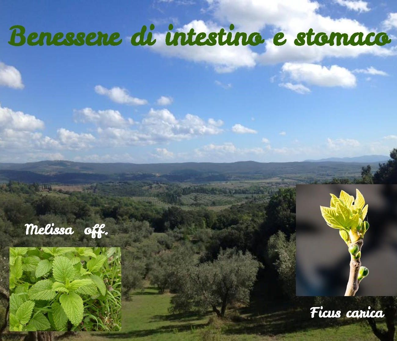 Bien-être intestinal et gastrique