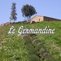 Logo delle Germandine