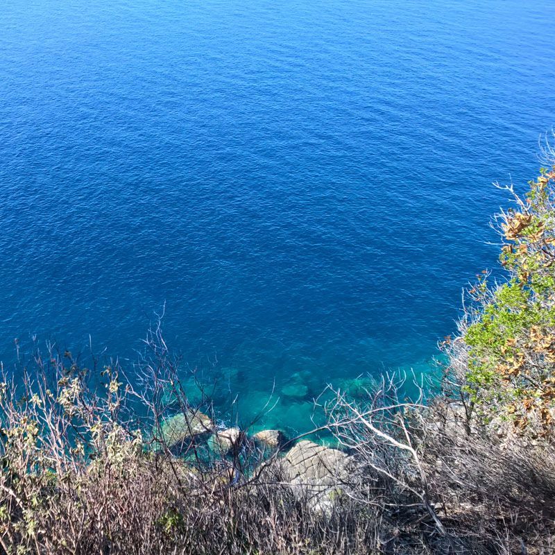 Profumo di Mare: Populonia, baratti, La Sterpaia, Parco di Rimigliano a San Vincenzo- Raggiungibili dalle Germandine
