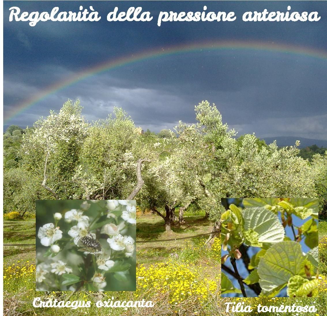 Pression artérielle