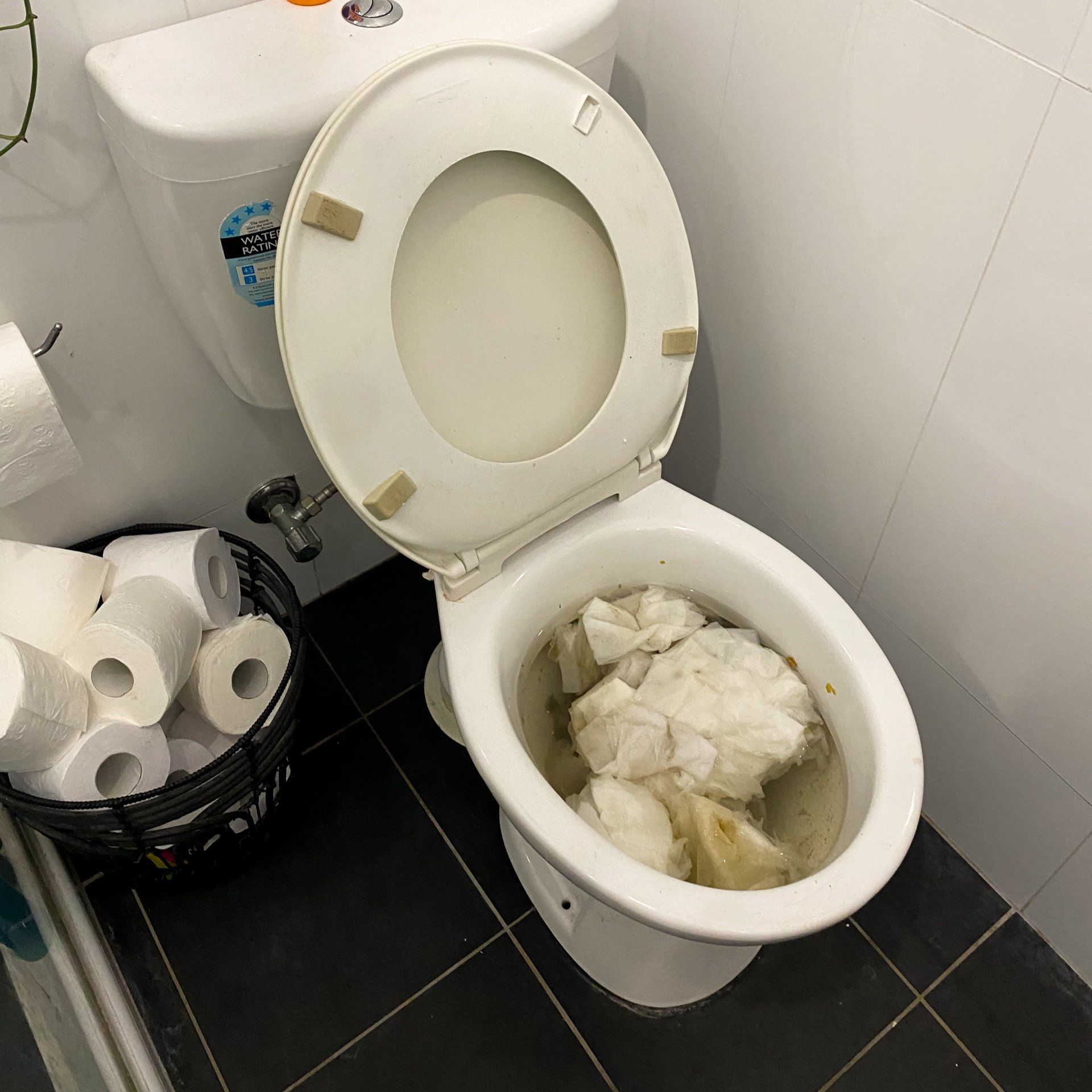 Network Plumbing blocked toilet