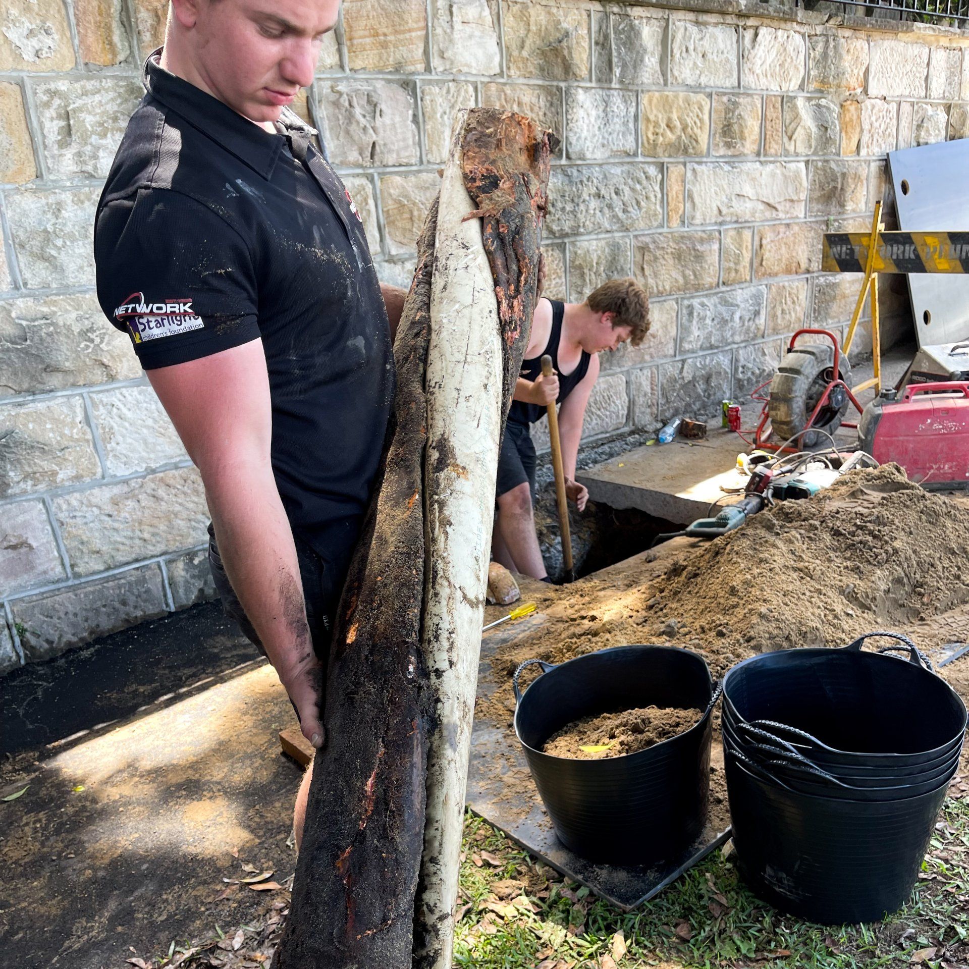Network Plumbing | Collapsed Sewer Pipe With Tree Root