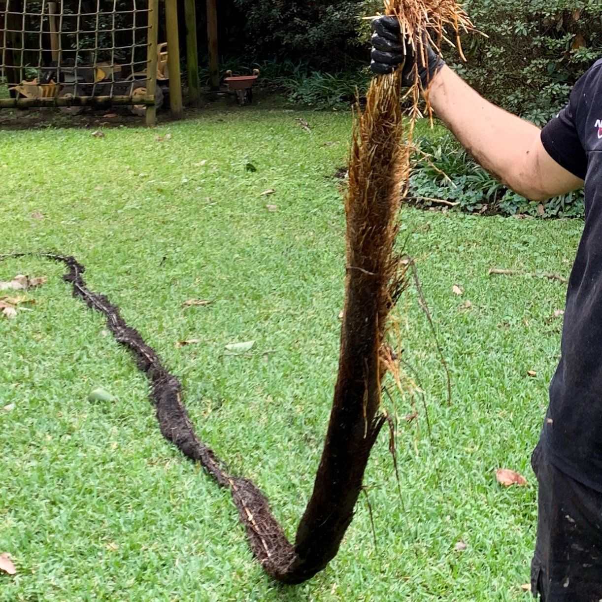 long tree root blocked drain