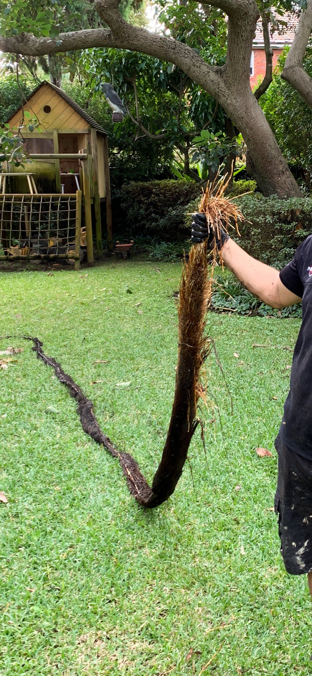 Network Plumbing drain blockage Sydney