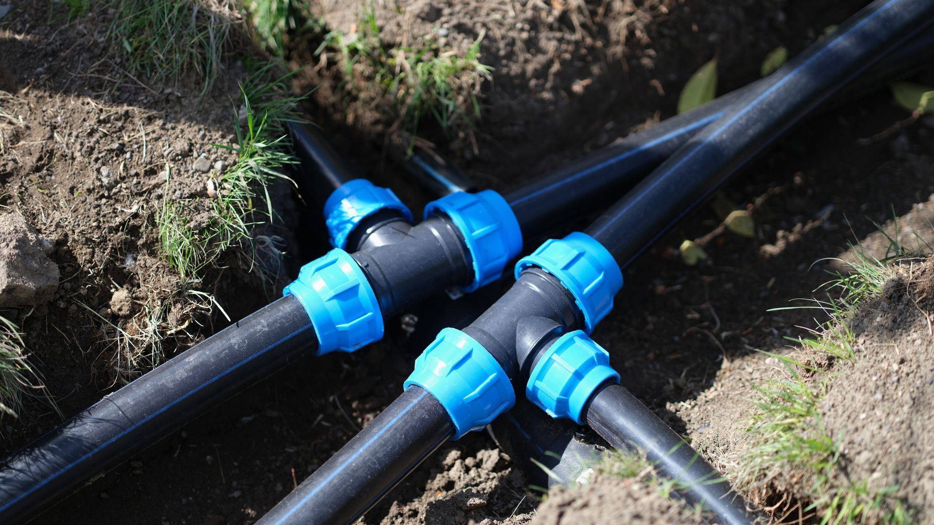 Black irrigation pipes with blue connectors in soil.