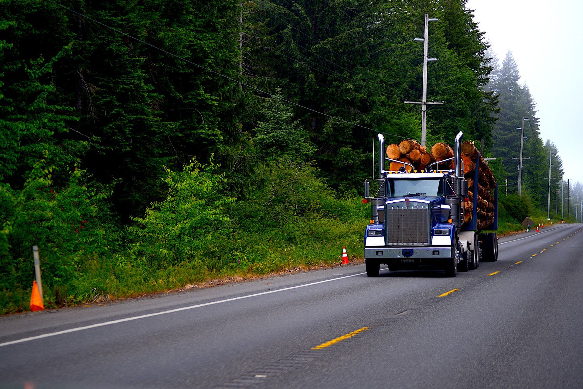Lumber truck driving on a road, loaded with logs, passing green trees on a foggy day.