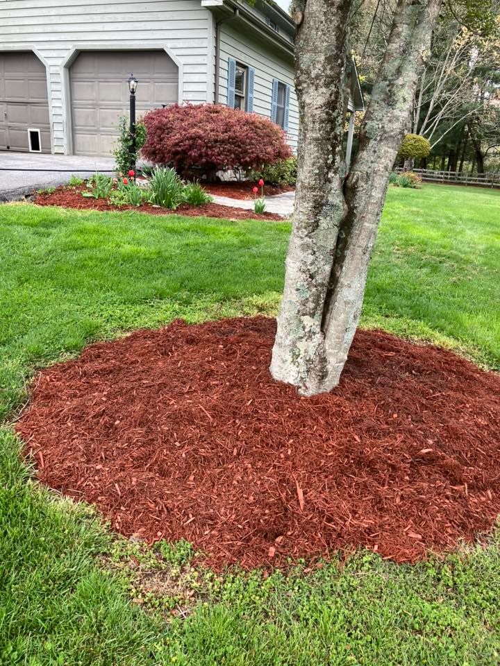 Landscapers trimming grass with string trimmers and lawn mower in a grassy area.