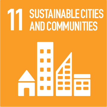 SDG 11