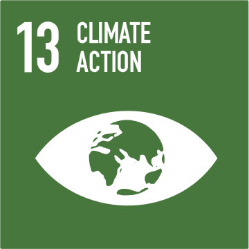SDG 13