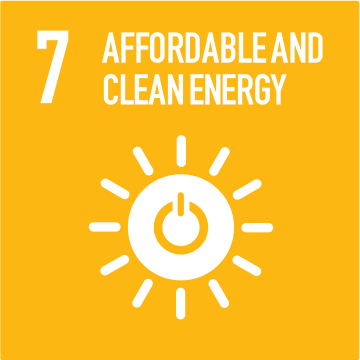 SDG LOGO 1