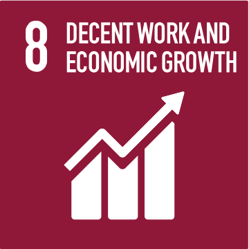 SDG 8
