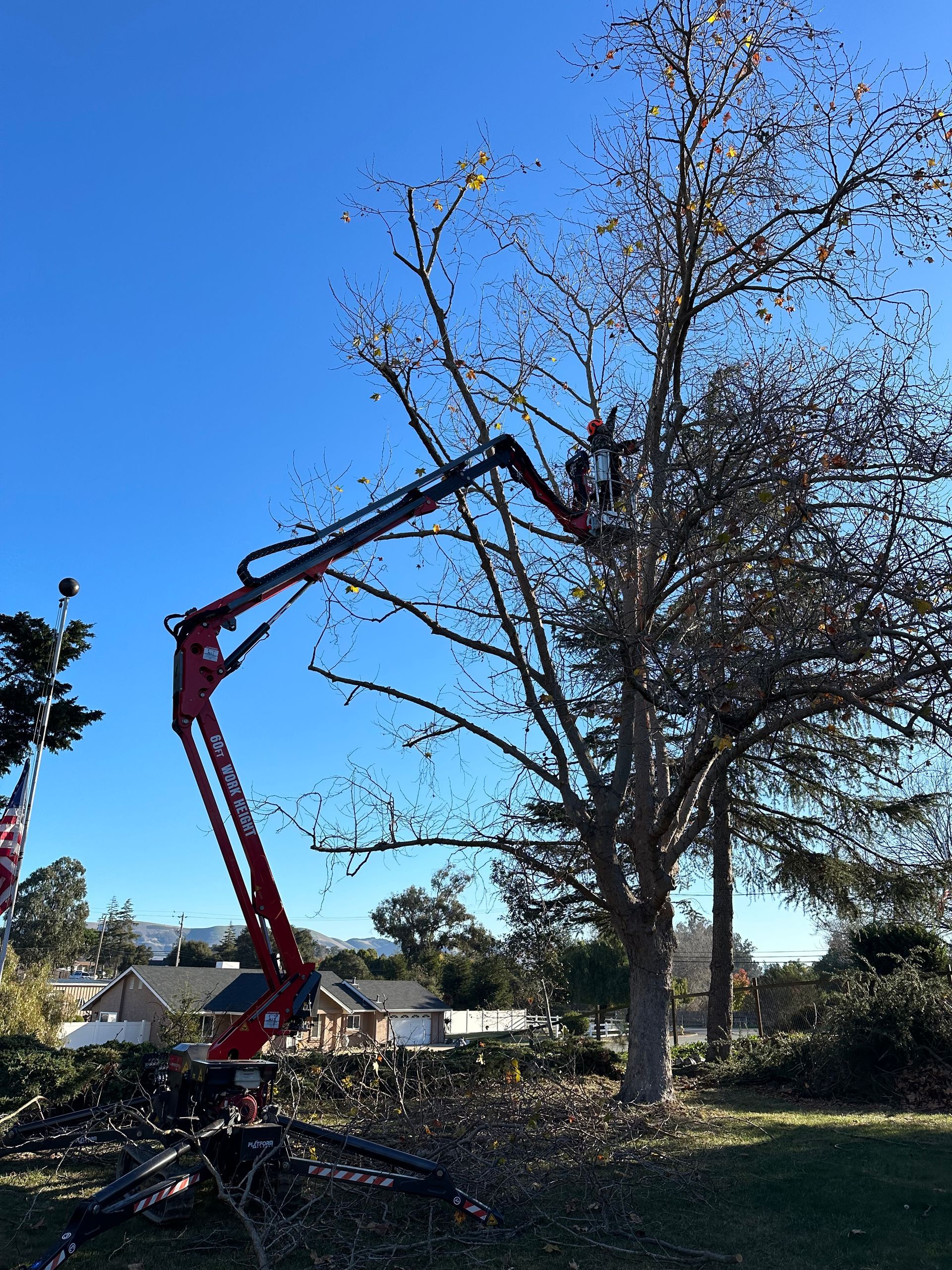 A red crane is cutting a tree in a yard.