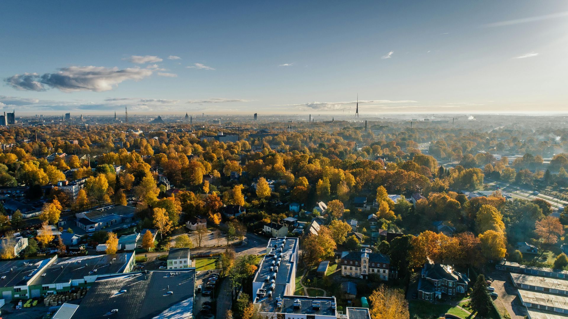 Aerial view of a cityscape with a dense canopy of autumn-colored trees under a blue sky.