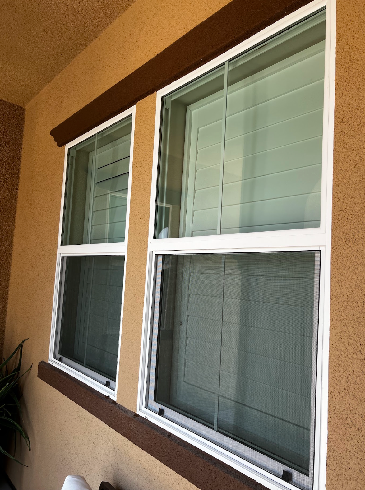 Two white-framed sliding windows with green tinted glass on a tan stucco wall, with part of a plant visible in the lower left corner.