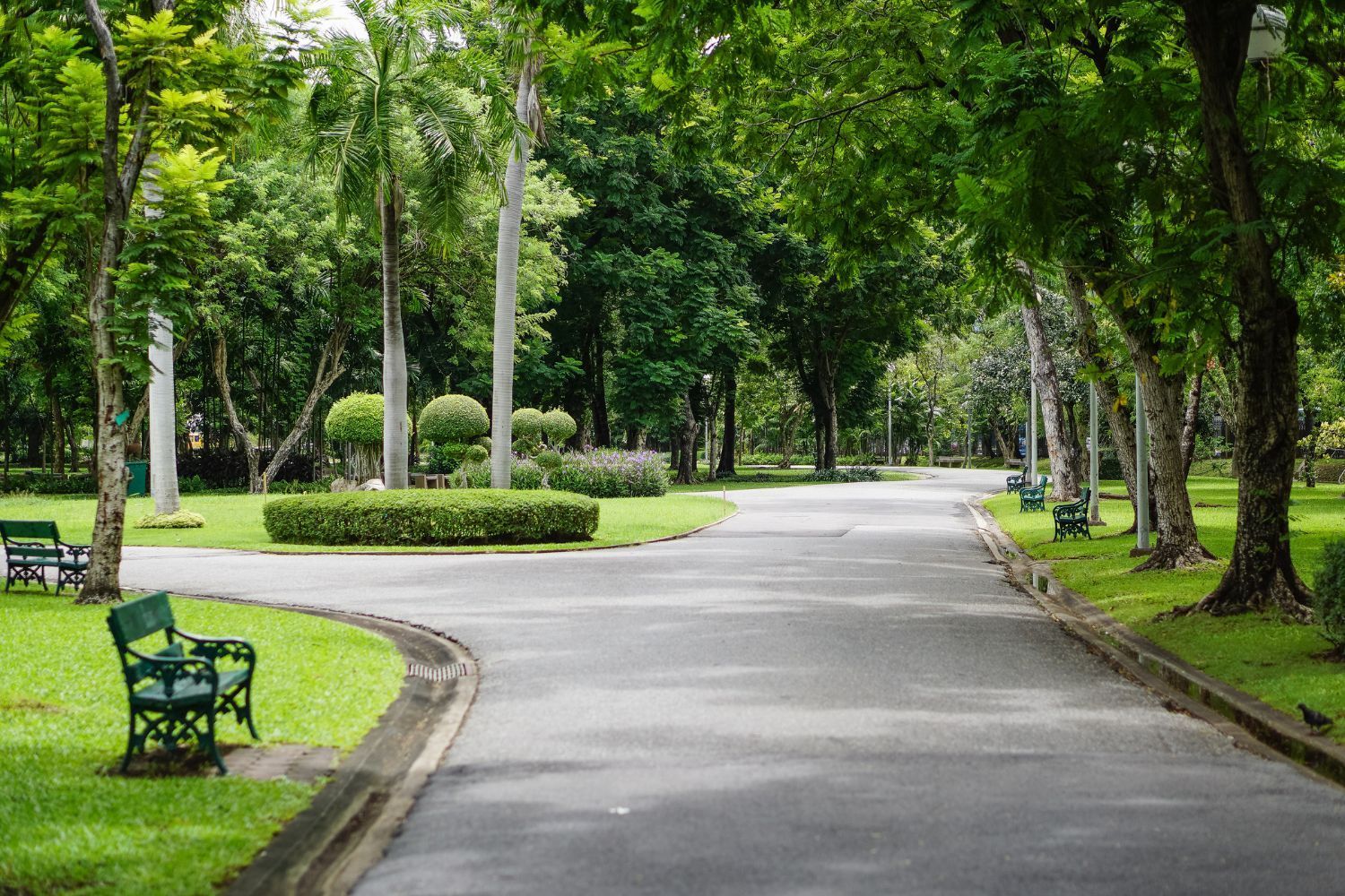 Pathway through a green park with benches and trees.