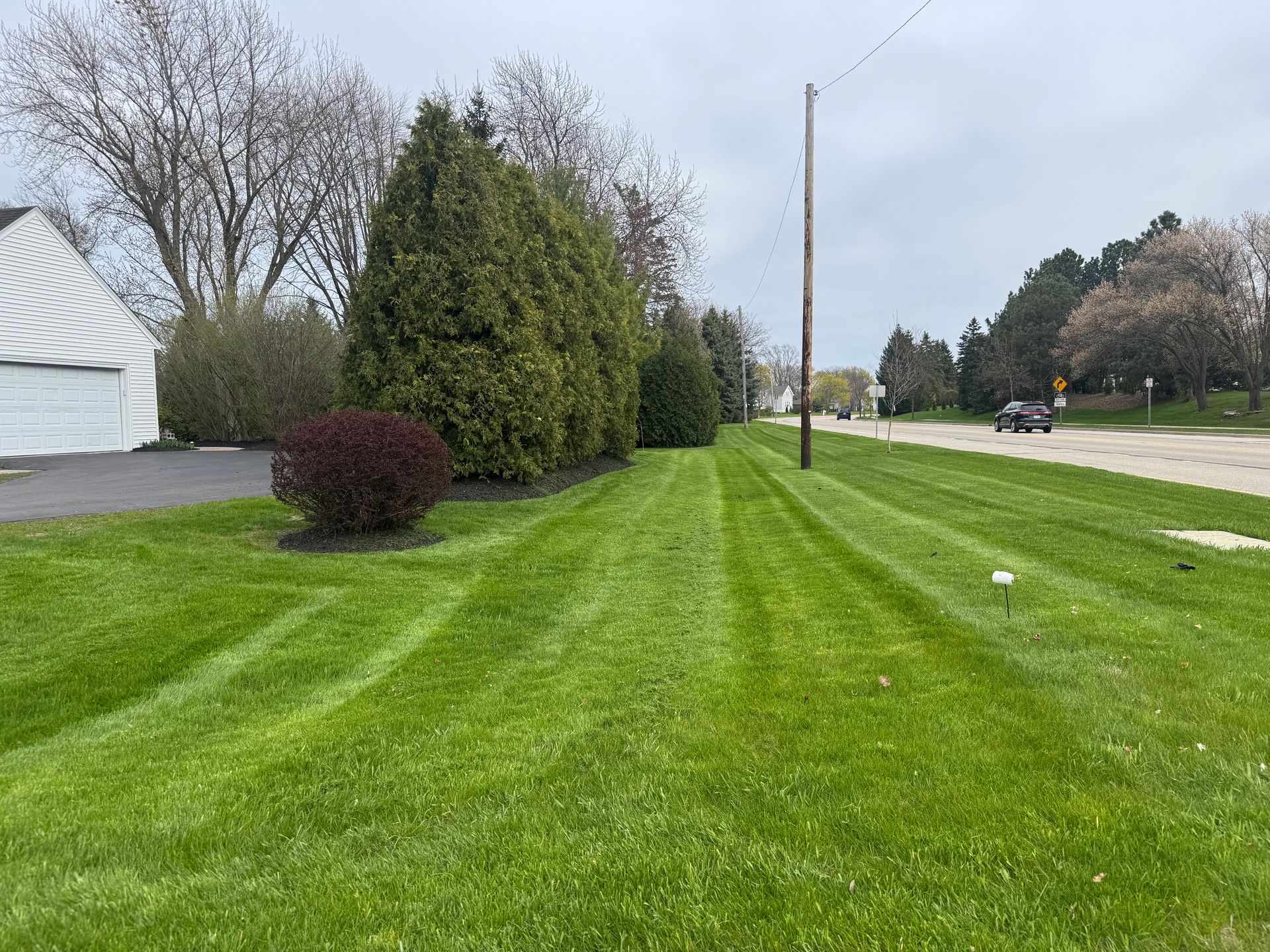 Lawn with freshly cut stripes. Green grass, trees, and a road under an overcast sky.