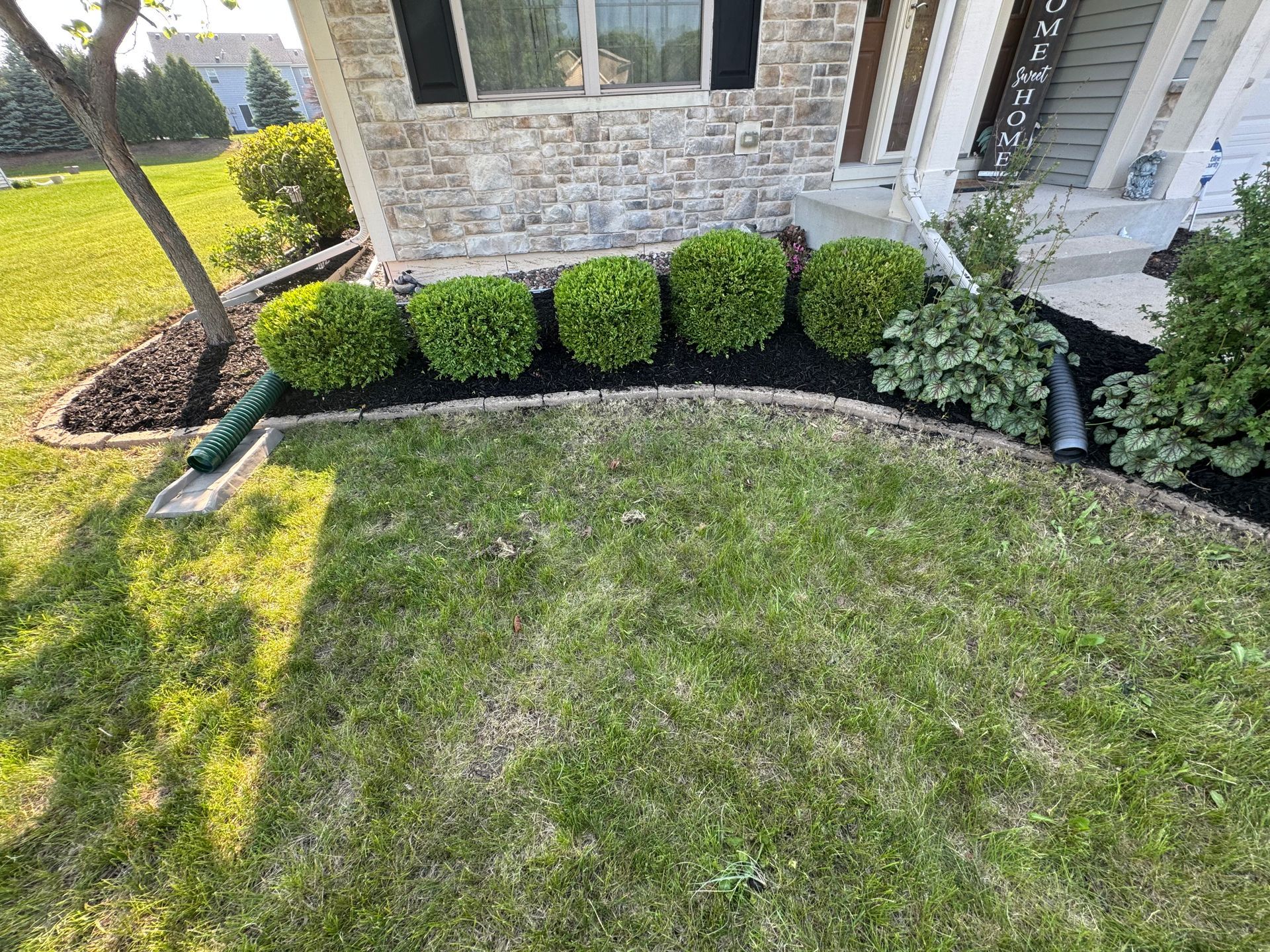 Green shrubs line a mulch bed in front of a house, with green grass in the foreground.