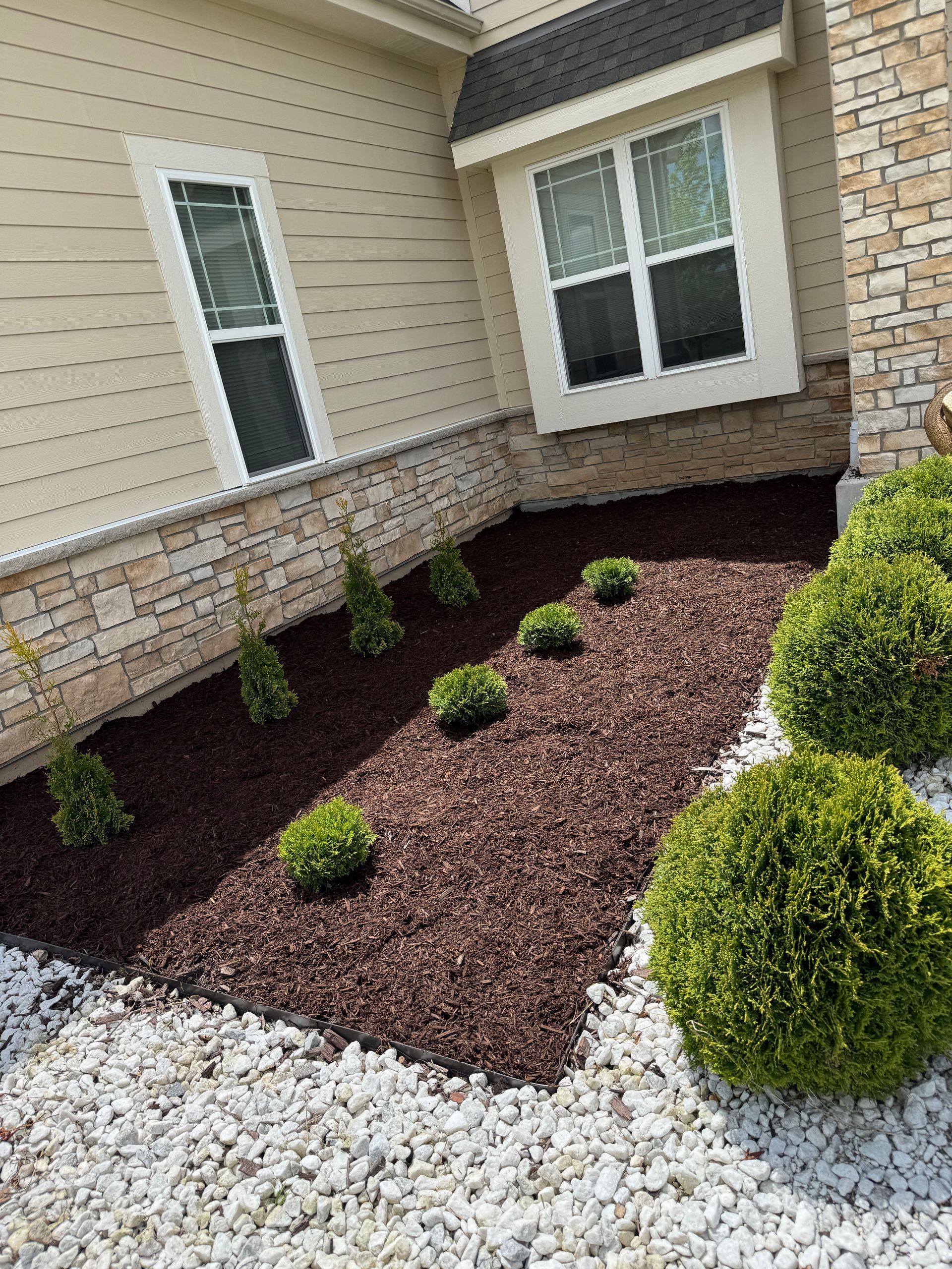 Landscaped area with brown mulch, green shrubs, and white stone border next to a beige house with two windows.