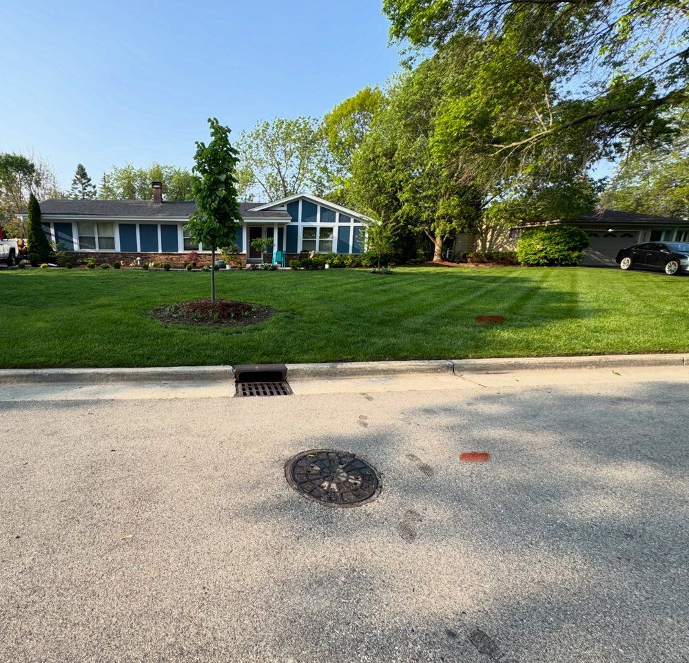 Blue house with manicured lawn; trees, clear sky. Drainage grate and manhole in foreground.