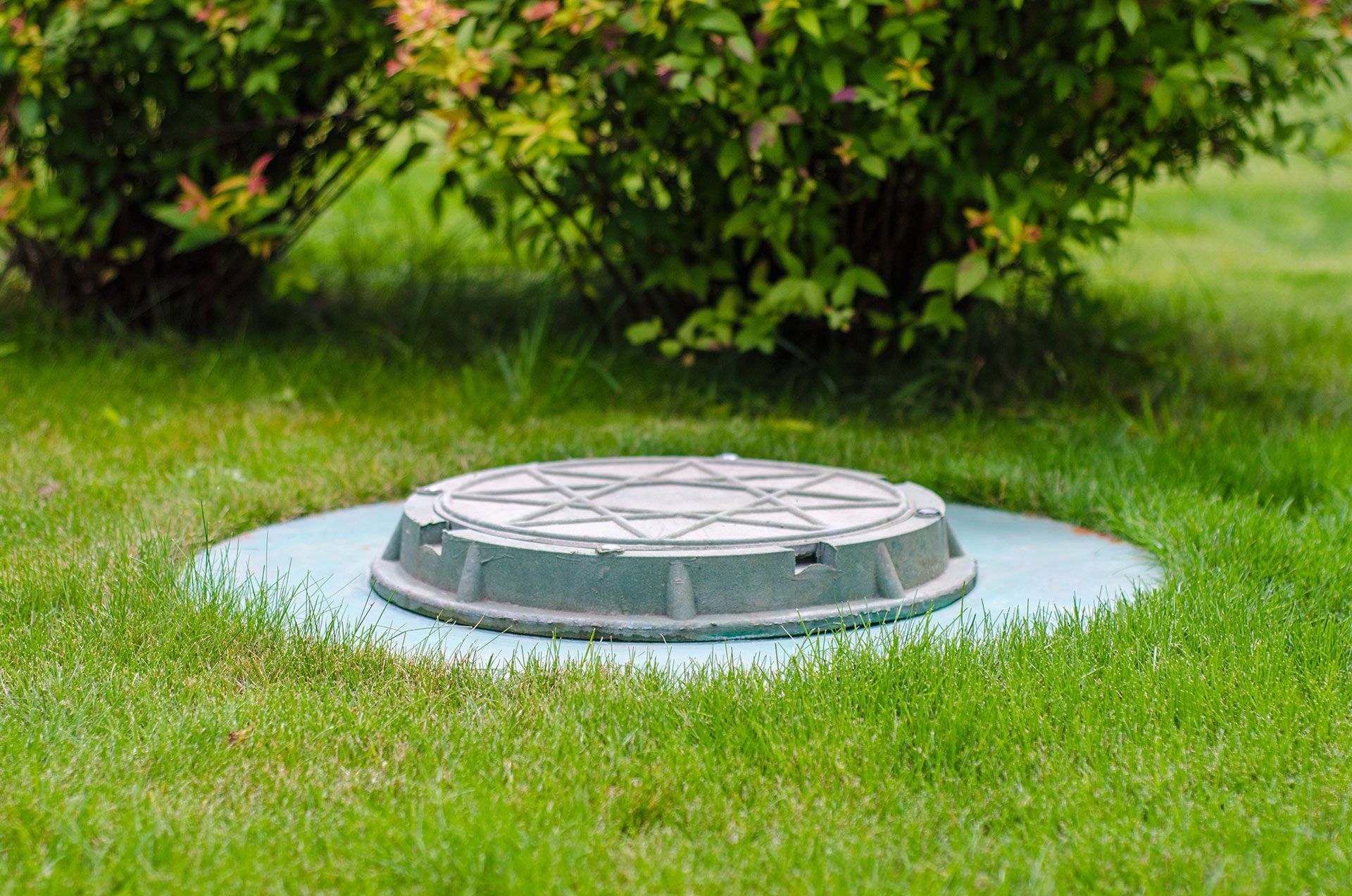cesspool on the backyard