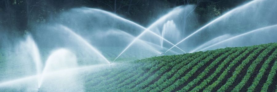 Irrigation of crops with watering systems in Victoria