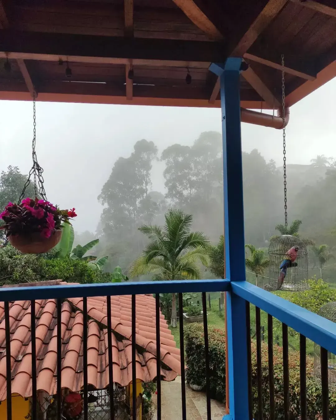 A balcony with a bird feeder hanging from it