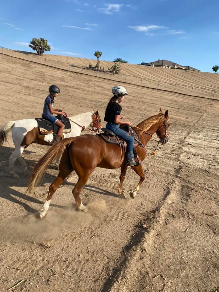 Two people are riding horses on a dirt road.