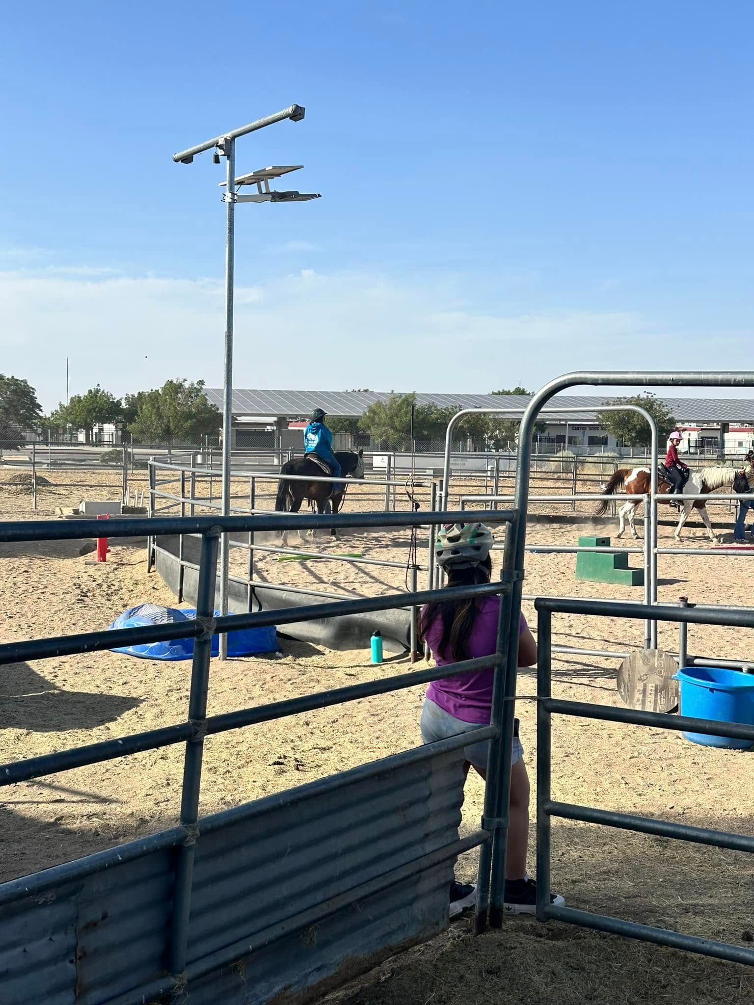 A girl is standing in a fenced in area with horses in the background