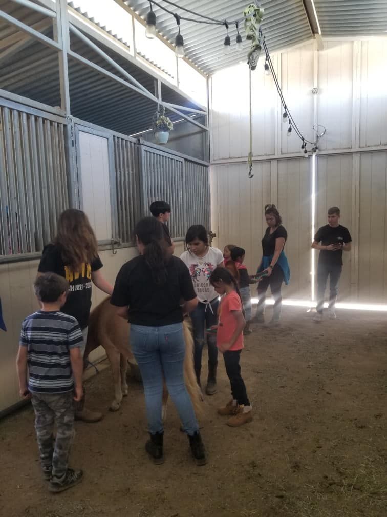 A group of people are standing around a horse in a barn.