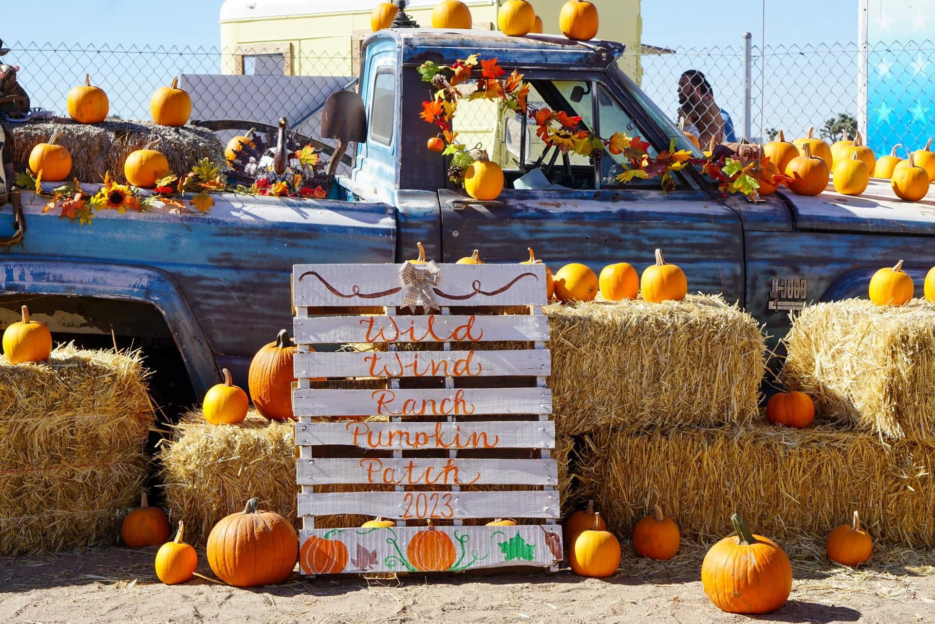 A truck is decorated with pumpkins and hay bales