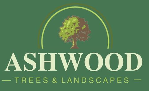 Landscaping, Fencing, Tree Care, Patios Bramley Hampshire Ashwood Trees and Landscapes