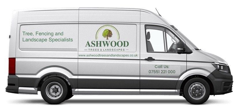 Ashwood Tree and Landscapes of Bramley, Hampshire