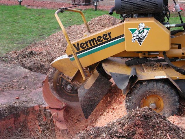 Tree services Bramley Hampshire