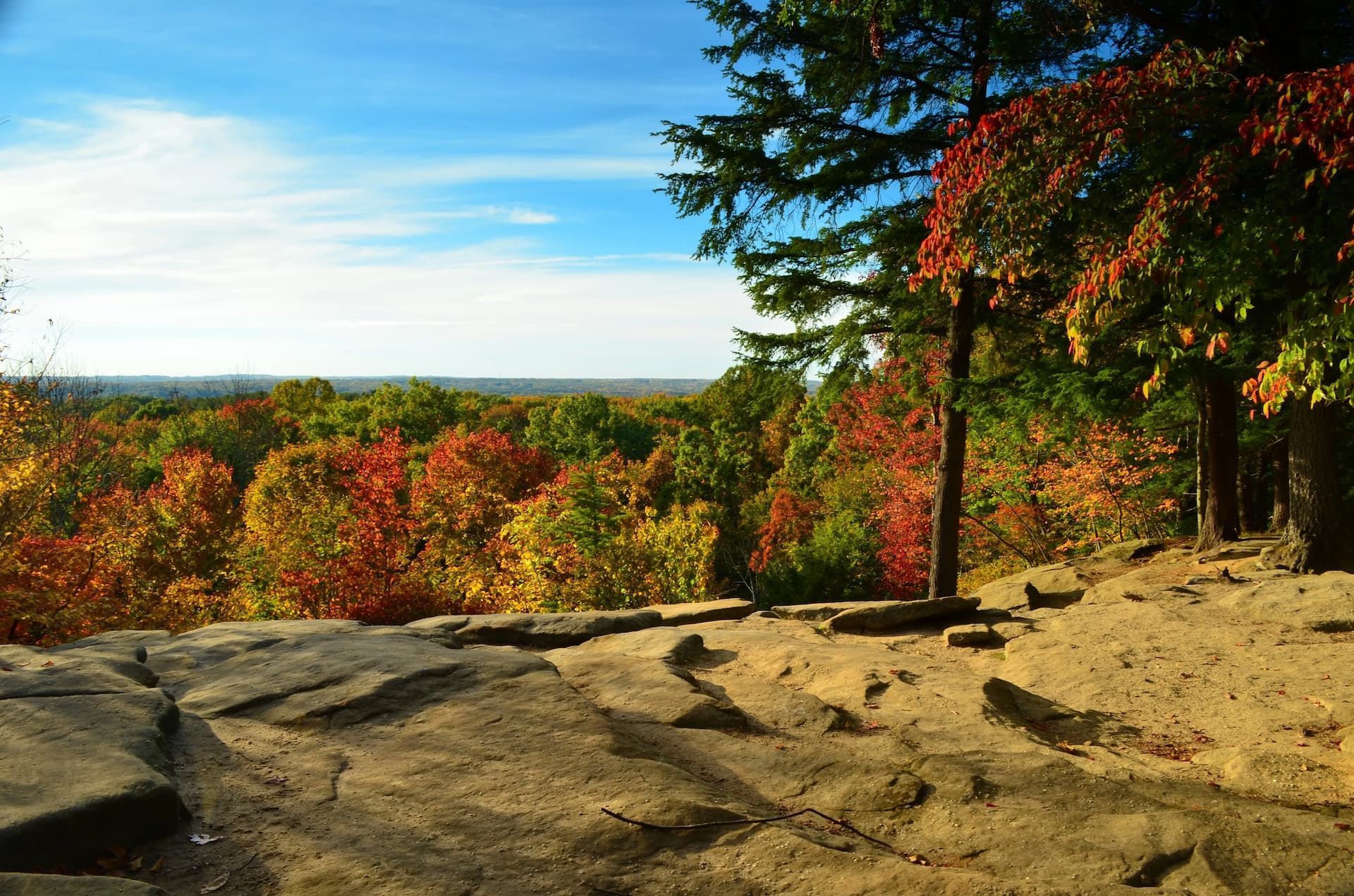 A view of a forest from a rocky cliff.