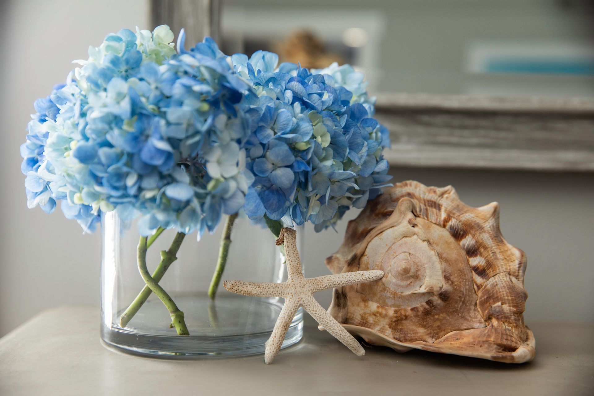 A vase filled with blue flowers and a sea shell on a table.