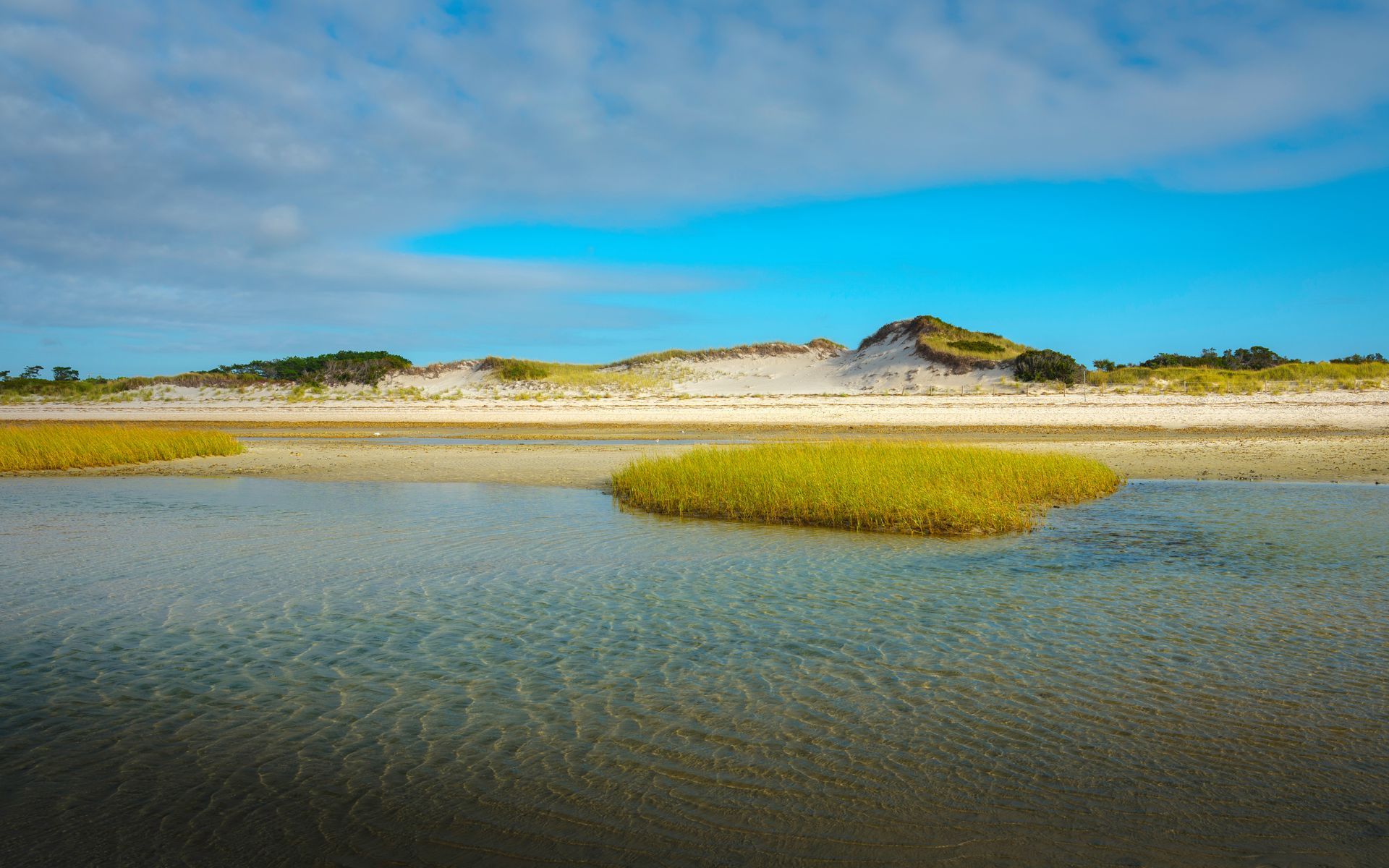 Mayflower Beach