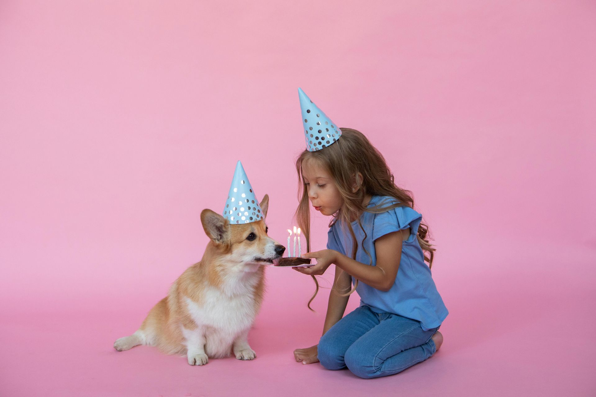 Pet birthday balloon delivery Los Angeles — dog birthday balloon bouquet with paw print foil balloons — Balloon Concierge